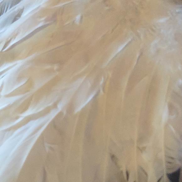 Spirit Accessories Spirit Halloween Angel Wings Poshmark